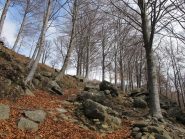 Sentiero tra Terrafredda e Bioley