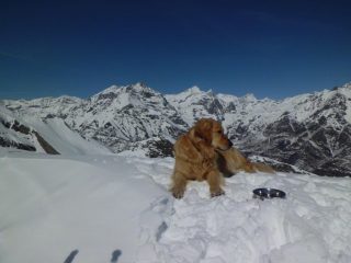 Vista sulle Graie di Lanzo