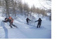 Salendo di gran carriera..