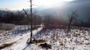 Inizia la neve....