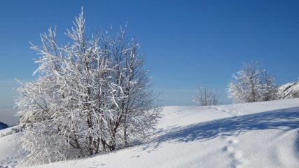 Aprile o gennaio?