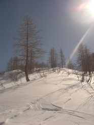 curve decenti solo sulla neve vecchia