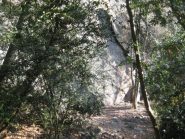 SILENZIO nascosta tra i bossi