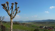 vista sul lago di Viverone da Palazzo
