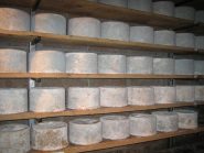 stagionatura Castelmagno D.O.P.