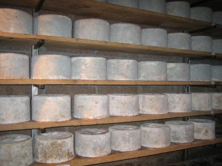 stagionatura Castelmagno D.O.P.