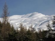 Punta Leysser vista dalla partenza