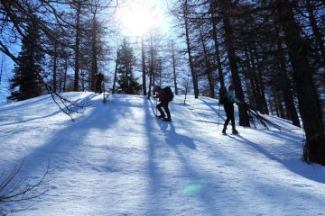 dopo il pianoro...ancora il bosco (13-4-2013)