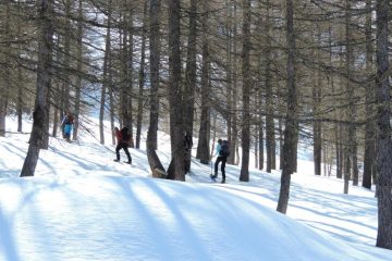 salendo nel bosco sopra Indiritti (13-4-2013)