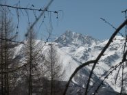 panorama, salendo nel bosco