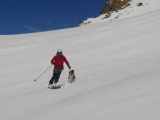 Si divertono entrambi