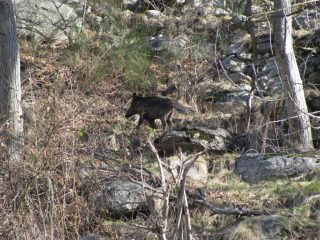 Abitanti odierni della borgata Coste