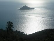 Isola Gallinara