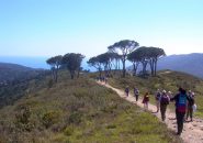 Lungo il crinale che sovrasta Laigueglia