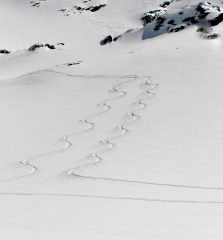 qualità della neve