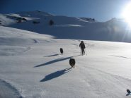 la neve promette bene... sulla sinistra la cima