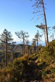 Ambiente poco dopo la partenza