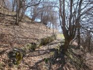 Mulattiera per le Grange Robbio inf.
