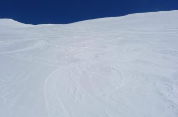ma che neve c'è???