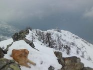 Dalla cima verso il Karfen