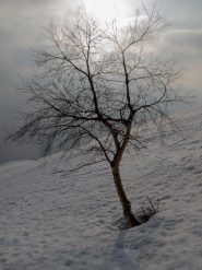 Incredibile!!!!!!!!!!!