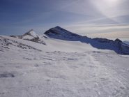 Il Leone dal colle del Breithorn