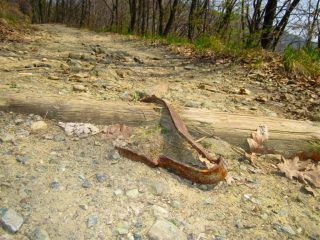 uno dei fermi divelti