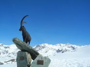 al Col Sarezza