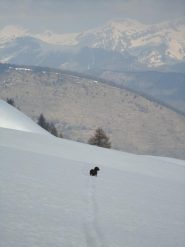 Amos ha visto una marmotta dall'altra parte del vallone....