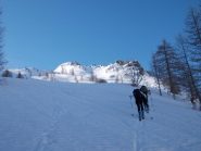 la conca sopra il lariceto