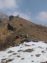 Sopra il Rif. Salvin