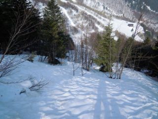 tratto di salita nel bosco verso Monte Berlino 