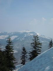 Monte Mindino dal bosco del Monte Berlino