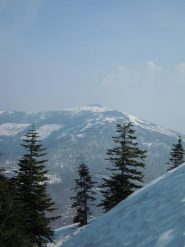 Monte Mindino dal bosco del Monte Berlino