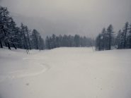 finalmente qualche curva