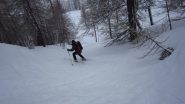 Divertente nel bosco...