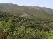 Uliveti e pendii attraversati