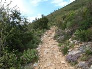 Sul sentiero del Pesalto