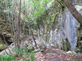 Un passaggio obbligato nel letto del rio Torsero