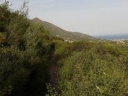 Il sentiero che contorna il Monte Pesalto