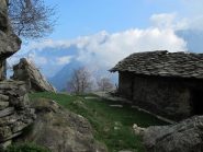 A Pian Damon, con il Monte Aquila che fa capolino
