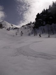 scie effimere
