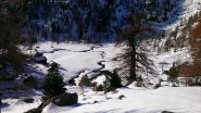un metro di neve all'alpe Reich, metri 1892