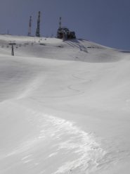 verso sauze