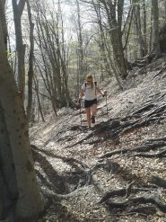 tra boschi di castano e faggi