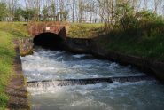 La presa sul Depretis del Navilotto di Saluggia
