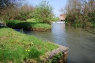 Le acque del Canale Cavour (presa sullo sfondo) integrano la portata del Navilotto in località Montealbero a Lamporo.
