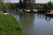 Il nodo della Colombara con i tre diramatori del Navilotto: il Canale di Rive (prima presa a destra), il Canale Magrelli (centro) e Rio Acquanera (in fondo)