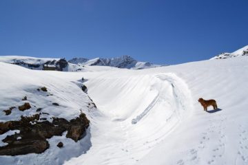 verso il Miserin