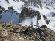 il colletto dalla punta